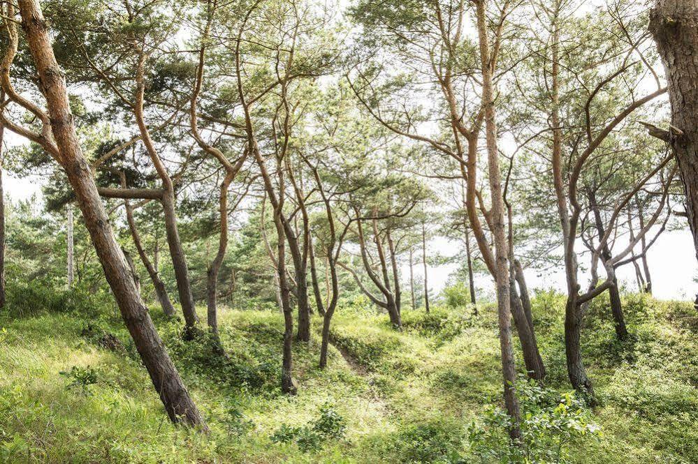 Ferienwohnungen Duenenmeer 디르하겐 외부 사진